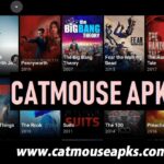 CatMouse Apk