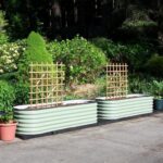 Soils For raised Beds