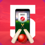 What is fantasy cricket? How can you play on it?