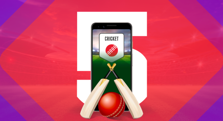 What is fantasy cricket? How can you play on it?