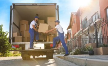 Safe Ship Moving Services Provides Insights That Can Help Move to a New Home With Pets