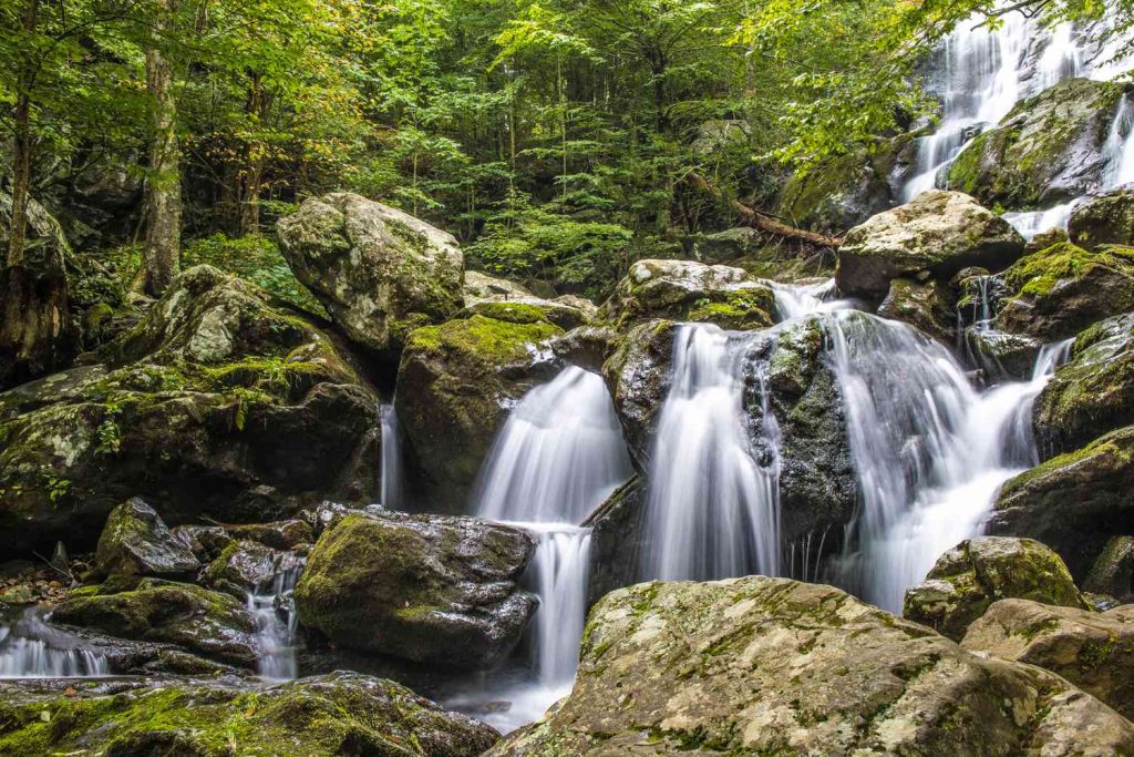 3 Odd and Unusual Attractions to Visit in Virginia